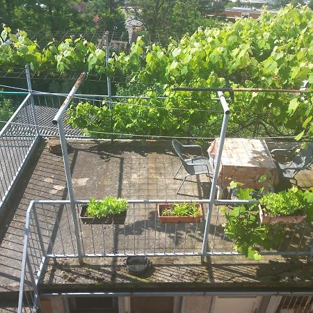 Apartmans Adi SJJ Buitenkant foto