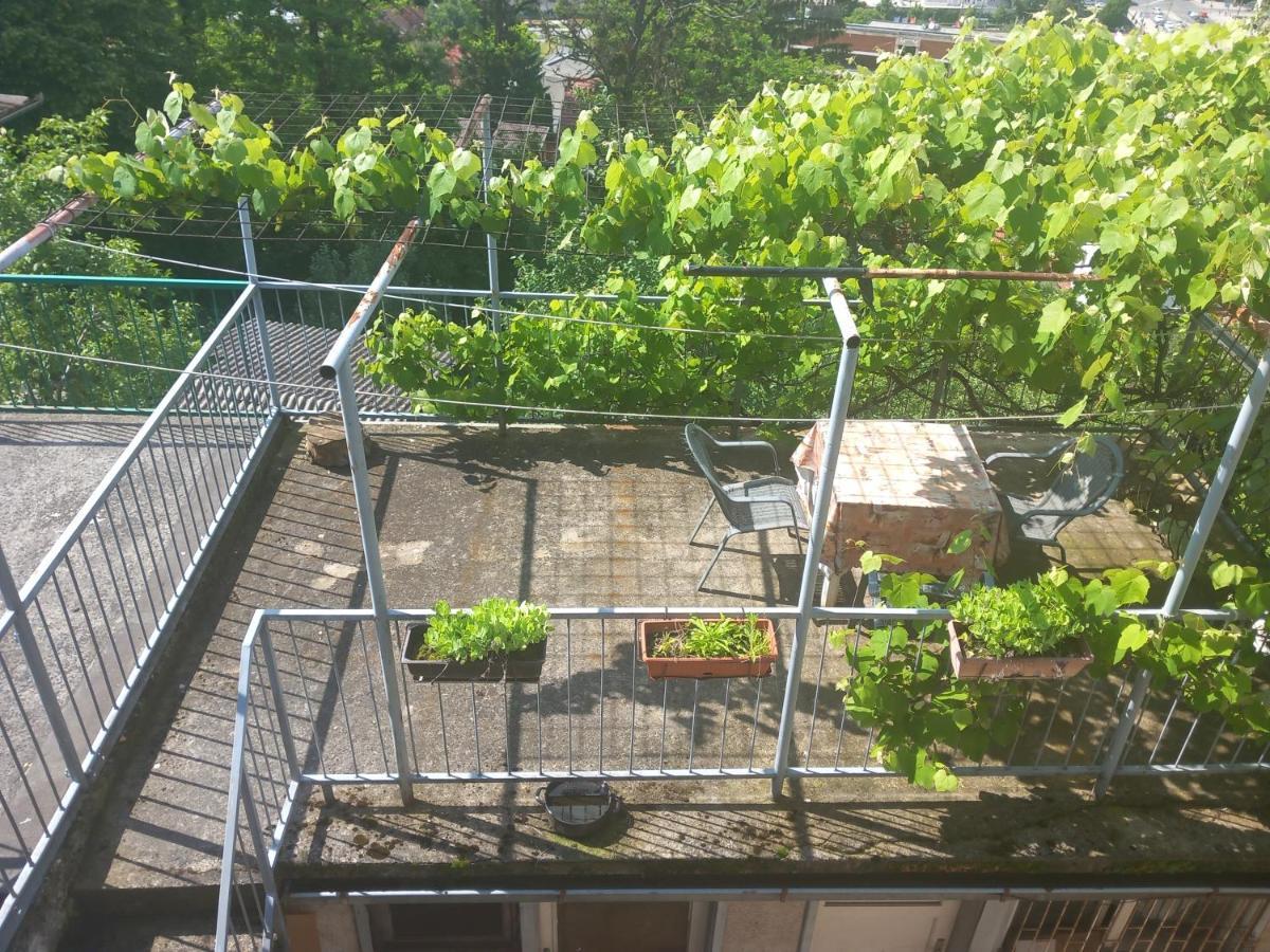 Apartmans Adi SJJ Buitenkant foto