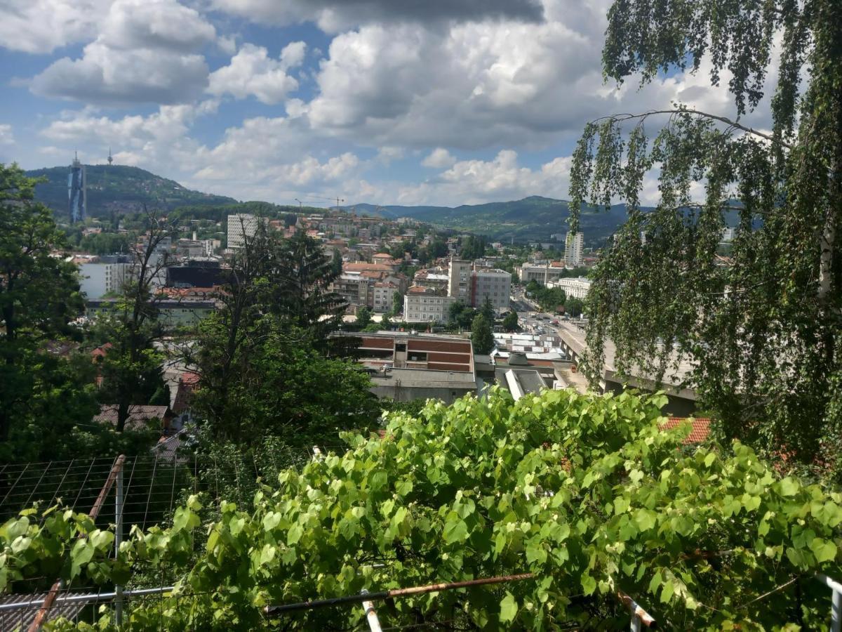 Apartmans Adi SJJ Buitenkant foto